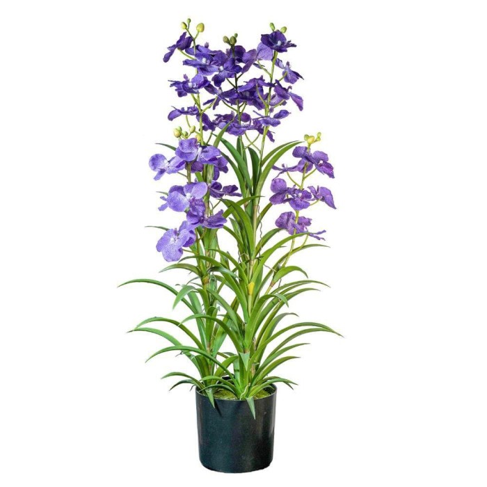 WANDA PIANTA X6 CON VASO VIOLA CM.100